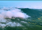  Video Picture.jpg
