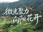 QQ20260928-143745.png